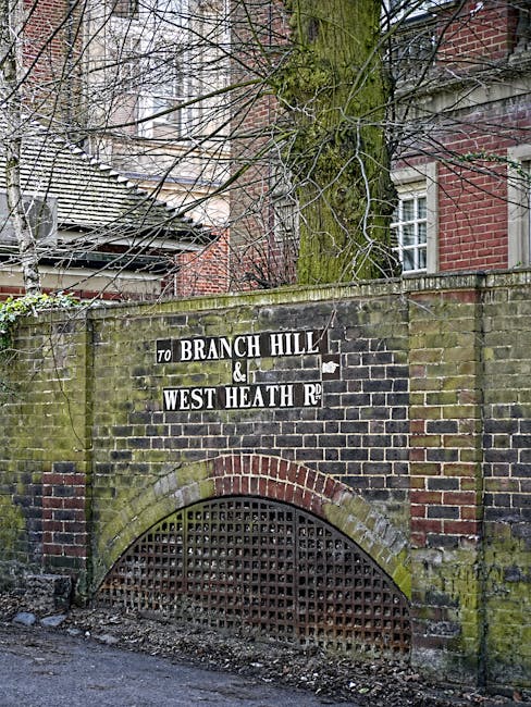 Image showing a brick and stone wall with a metal grille archway at the base, situated outdoors next to a tree with bare branches. Attached to the wall is a black and white street sign indicating directions to 'Branch Hill' and 'West Heath Rd', with the sign partly worn and weathered. In the background, residential buildings with brick and tiled roofs are visible, suggesting an urban area. The scene is captured in daylight, with natural light illuminating the wall, sign, and surrounding environment. The setting appears to be in a residential neighbourhood, potentially near a route used during a house removal or relocation process managed by Man with Van Chadwell Heath, which specializes in removals and moving services in the area.