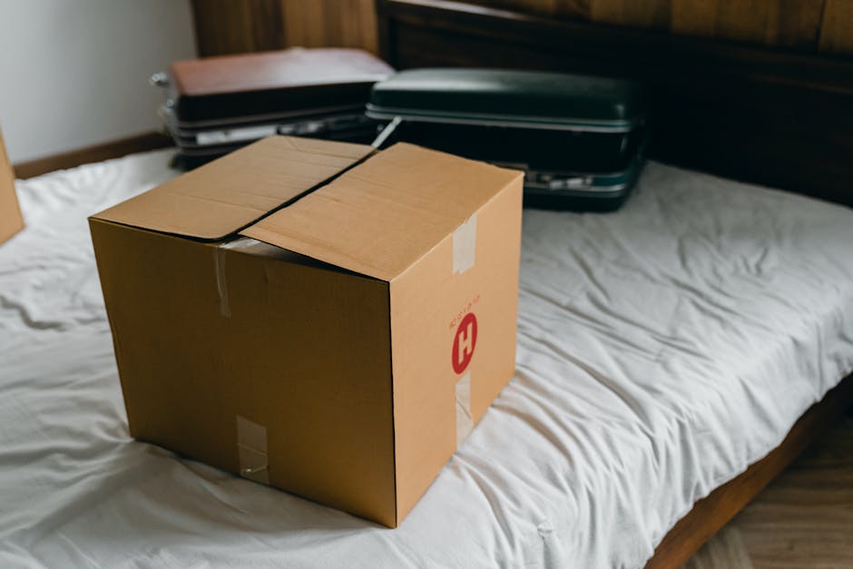A woman with long blonde hair, wearing a dark grey T-shirt, is inside a home surrounded by packing cartons. She is holding a clipboard with a sheet of paper and writing with a black marker, possibly reviewing or making notes on a packing checklist for a home relocation. Behind her, there are three cardboard boxes, one open with flaps up, ready for packing or loading. The room has light-colored walls and a wooden floor. To the left, part of a green potted plant is visible, indicating a domestic setting. The scene illustrates the packing and moving process facilitated by Man with Van Chadwell Heath, including organizing items for a house removal or furniture transport, with the focus on careful documentation and preparation before loading items into a vehicle.