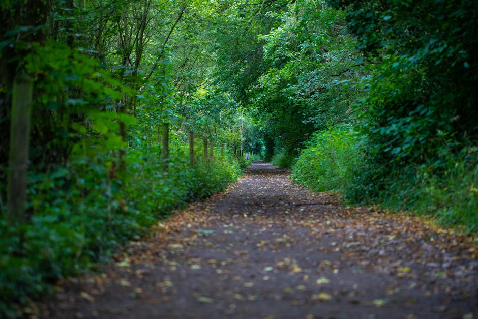 A narrow, paved pathway lined with dense, green foliage and trees on both sides, leading towards a residential street in Chadwell Heath. In the distance, there is a partial view of a brick property wi